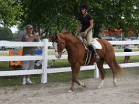 horse shows 26