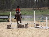 horse shows 47