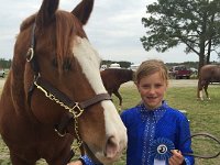 horse shows 50